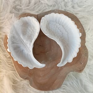 Flügel Engel Flügel Engel, Raysin Ideen