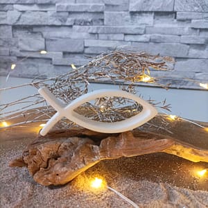 Fisch Symbol Kommunion -fisch-symbol-kommunion (4)